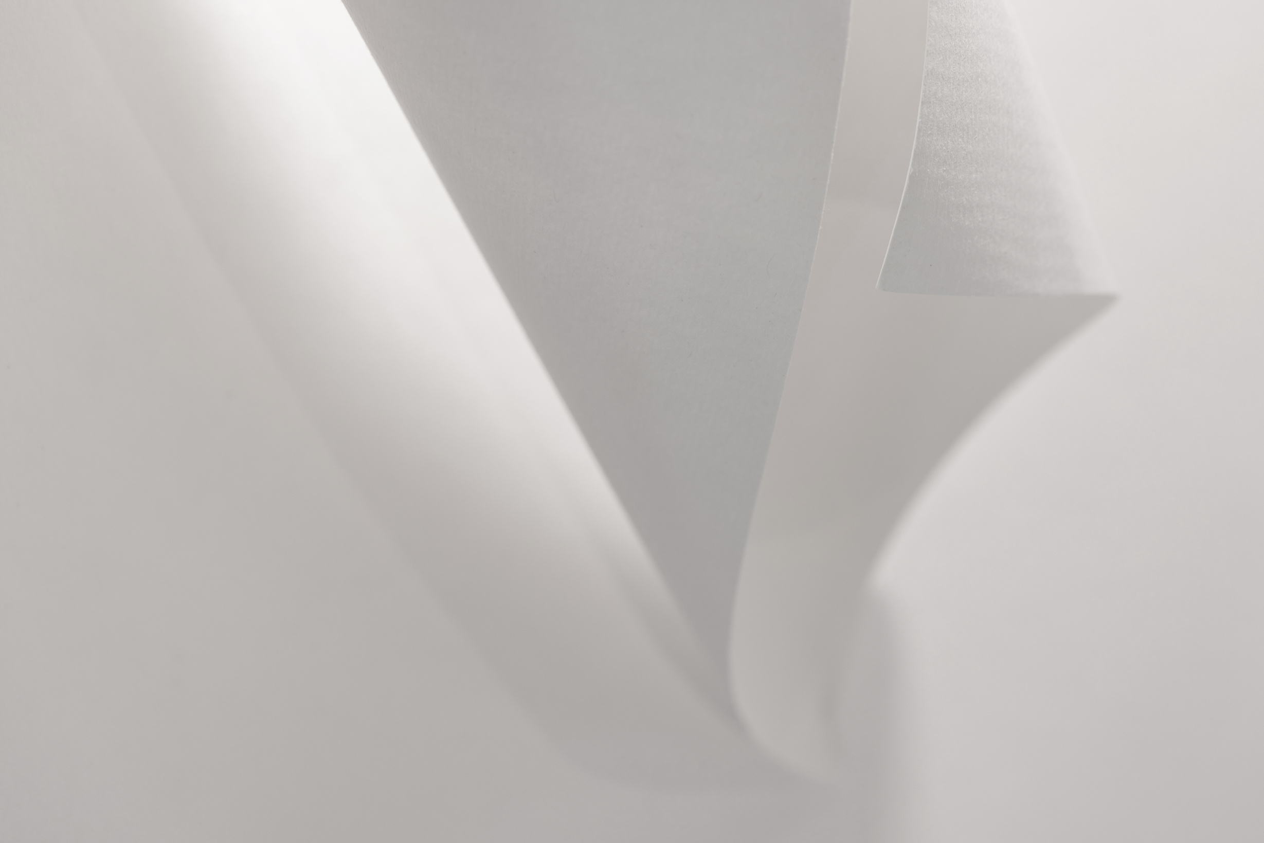 Off white creative background